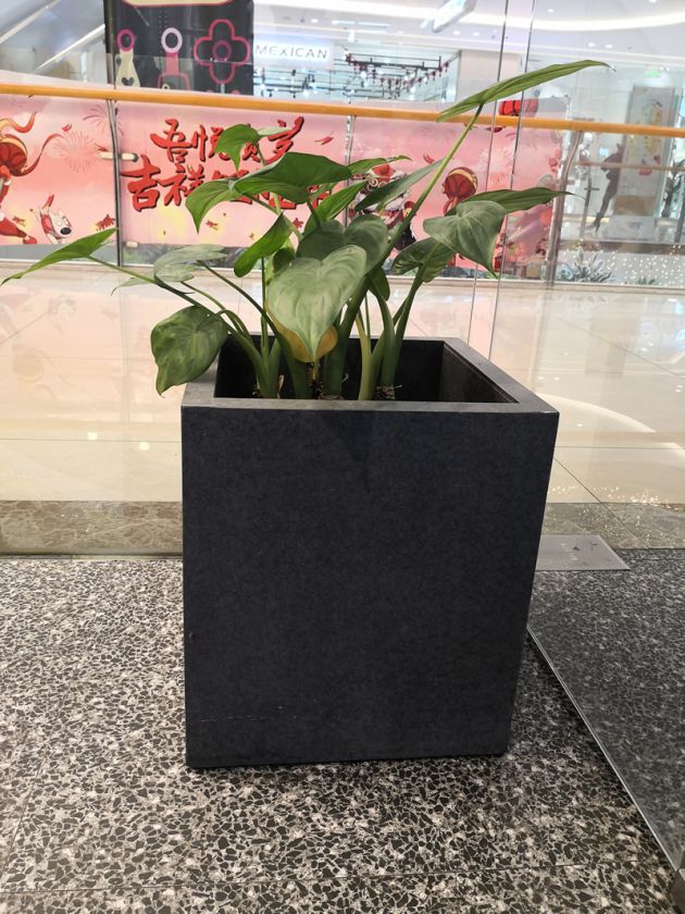 �w�Sˮ���������